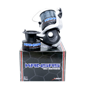 KANGSAS