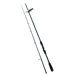 Model 12