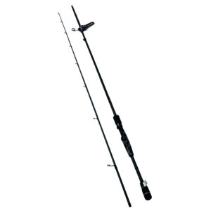 Model 16