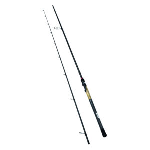 Model 19