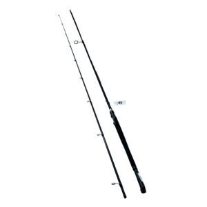 Model 20