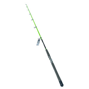 Model 02